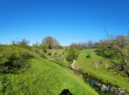 赤峰瑞典留學電話號碼多少號-第1張圖片