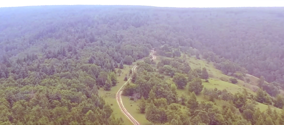 赤峰溪水樂(lè)園電話號(hào)碼多少號(hào)-第1張圖片