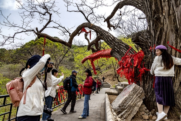 赤峰梨樹溝中醫(yī)院電話號碼-第1張圖片