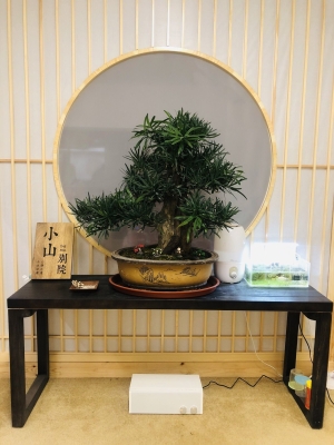 赤峰啟銘按摩院地址電話號碼-第1張圖片