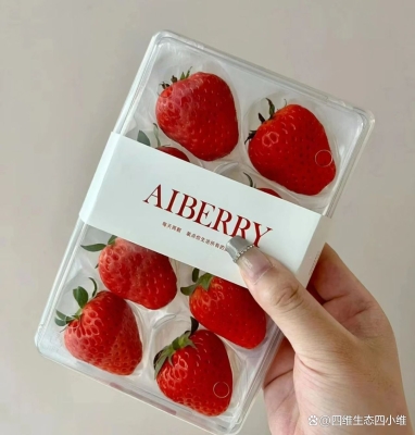 赤峰植物墻制造商電話號碼-第1張圖片