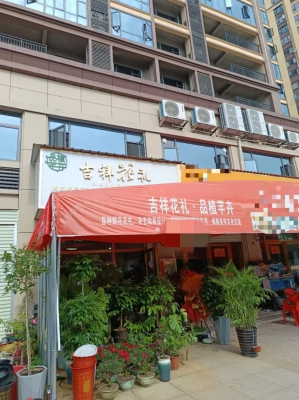 赤峰花店拍照探店電話號碼是多少-第1張圖片