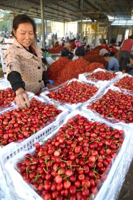 赤峰市水泉咸菜廠電話號碼-第1張圖片
