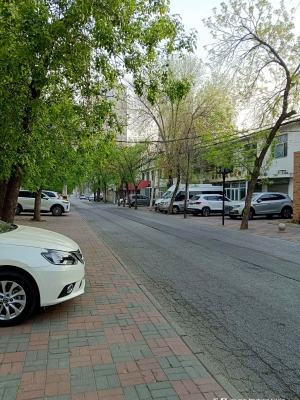 赤峰頭道街狗市電話號(hào)碼-第1張圖片