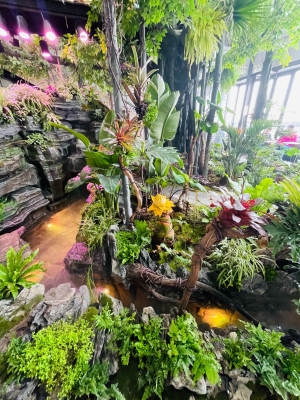 赤峰雨林造景定做店電話號碼-第1張圖片