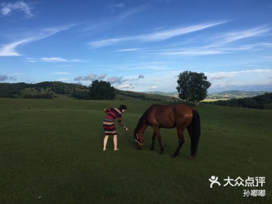 赤峰騎馬相館電話號(hào)碼多少號(hào)-第1張圖片