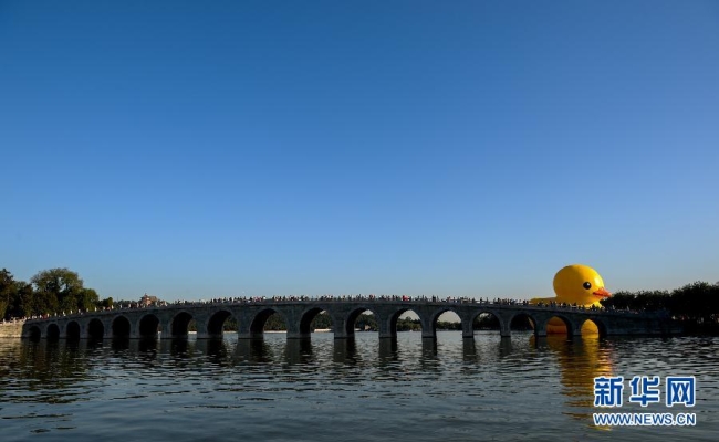 赤峰橋大黃鴨訂餐電話地址查詢-第1張圖片