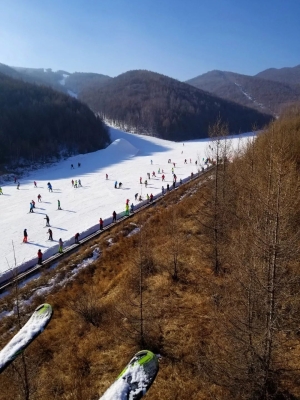 赤峰壓緊輪供應商電話號碼-第1張圖片