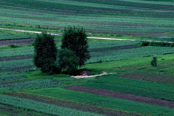 赤峰萬悅麥田電話號碼查詢-第1張圖片