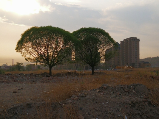 赤峰紅山區(qū)金劍社區(qū)電話號碼-第1張圖片