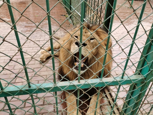 赤峰城南中路社區(qū)電話號碼是多少-第1張圖片