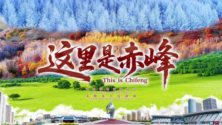 赤峰樂(lè)達(dá)科技有限公司-第1張圖片