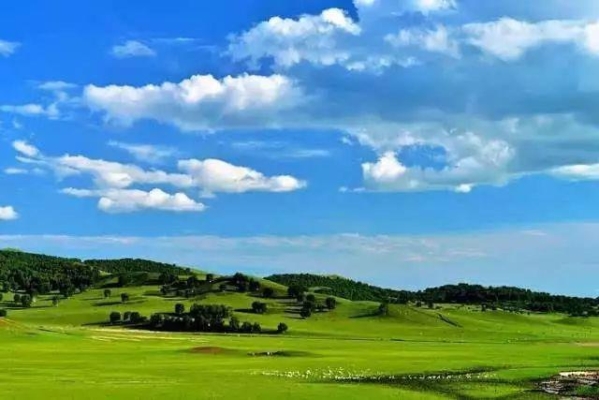 赤峰詩文回收公司電話地址查詢-第1張圖片