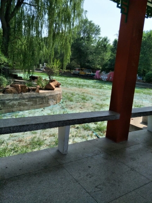 赤峰植物園駕校地址電話號碼-第1張圖片