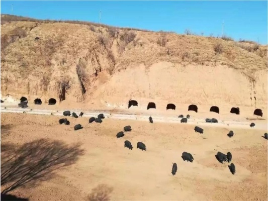 赤峰土窯山莊電話號(hào)碼查詢是多少-第1張圖片