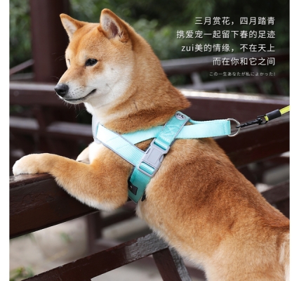 赤峰寵物交易群電話地址查詢-第1張圖片