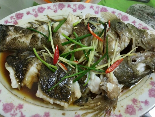 赤峰老馬飯店電話多少號(hào)碼-第1張圖片