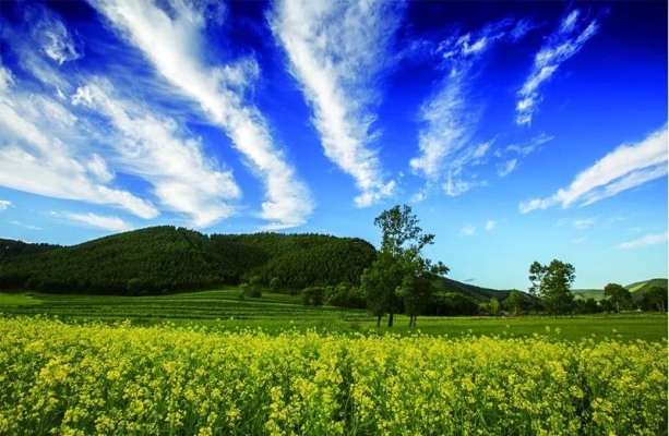大連到赤峰的拼車電話號碼-第1張圖片