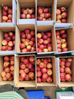 赤峰蘋果店鋪電話多少號碼-第1張圖片