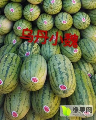 赤峰手機號碼大全-第1張圖片