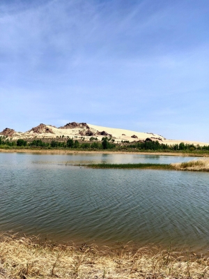 赤峰仿真花圈廠家供貨電話號碼-第1張圖片