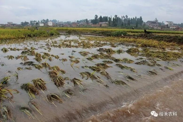 赤峰市禾天下農(nóng)業(yè)科技有限公司-第1張圖片