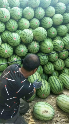 赤峰通遼骨粉廠電話多少號-第1張圖片