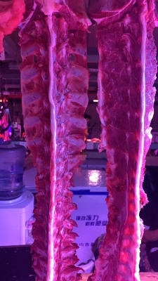 赤峰羊脊骨店電話號碼多少-第1張圖片