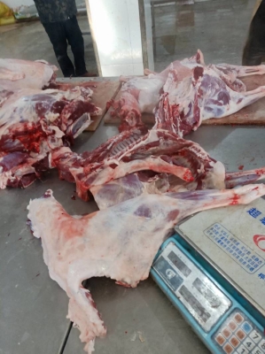 赤峰草皮批發(fā)電話(huà)號(hào)碼多少-第1張圖片