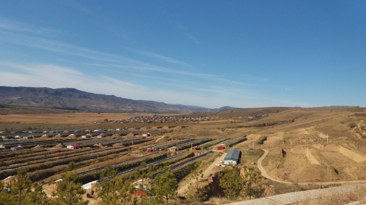 赤峰大廟魏家營社區(qū)電話號碼-第1張圖片