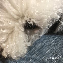 赤峰辛帝寵物醫(yī)院電話號(hào)碼-第1張圖片