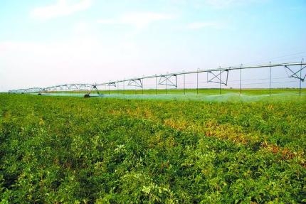 赤峰市種牛廠地址電話號(hào)碼-第1張圖片