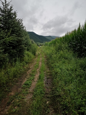 赤峰山貨交易中心電話地址查詢-第1張圖片