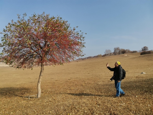 赤峰悅賓馬場電話號碼查詢-第1張圖片