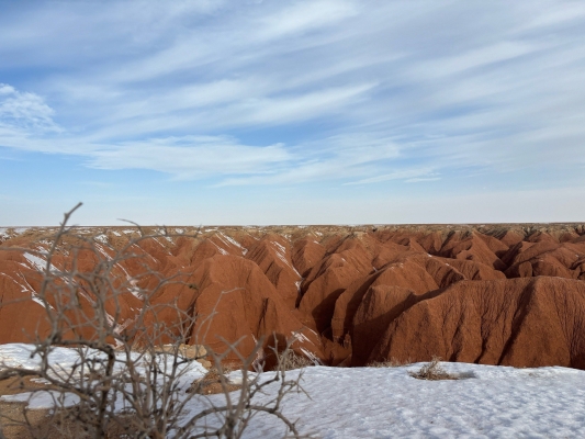 赤峰市紅山區(qū)成大方圓電話-第1張圖片