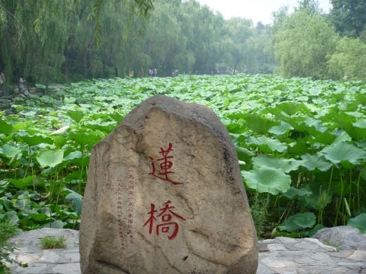 赤峰市園林浴池電話號碼查詢-第1張圖片