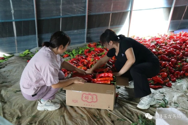 赤峰硬核健身招聘電話(huà)號(hào)碼查詢(xún)-第1張圖片