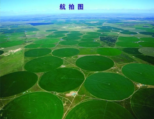 赤峰阿旗牧草收購電話地址是多少-第1張圖片