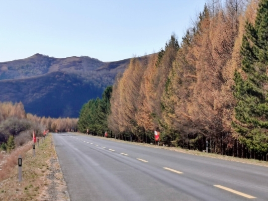 赤峰濱河公園釣魚地點電話號碼-第1張圖片