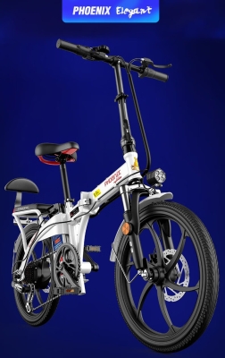 赤峰鳳凰電瓶車售后電話號碼-第1張圖片