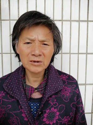 赤峰市救助站電話-第1張圖片