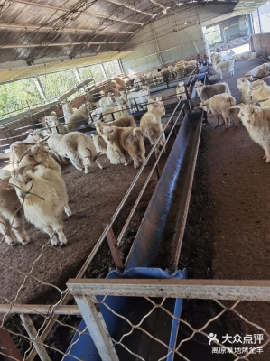 內(nèi)蒙古赤峰賣羊電話是多少-第1張圖片