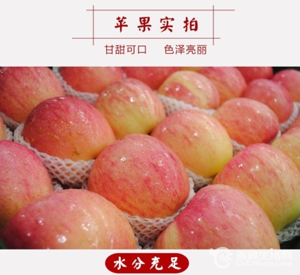 赤峰豐收采摘園電話號碼查詢-第1張圖片