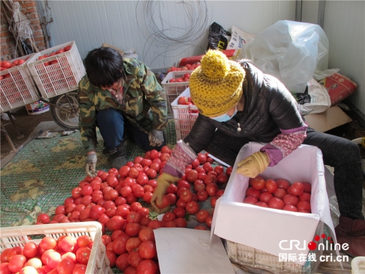 赤峰寧城奶茶店電話多少號(hào)-第1張圖片