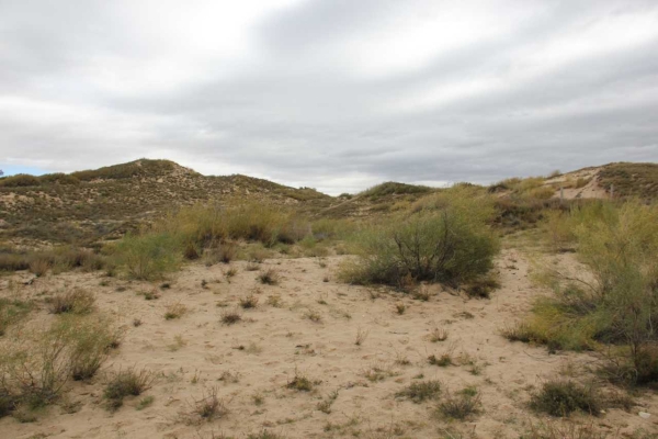 赤峰狼圖騰救援隊電話號碼-第1張圖片