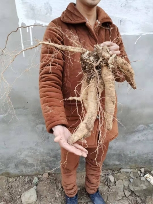 赤峰華聯(lián)影院電話多少啊-第1張圖片