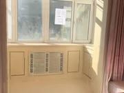 赤峰火花路寵物店電話號碼-第1張圖片