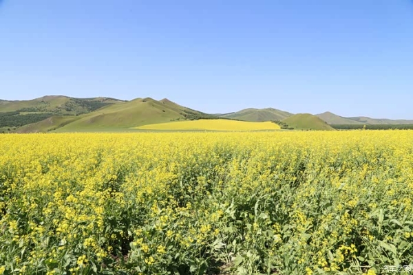 伊春至赤峰物流專線電話號(hào)碼-第1張圖片