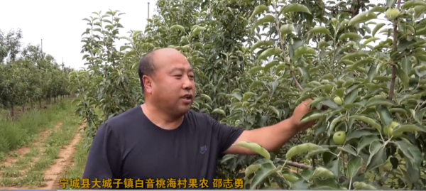 赤峰青菜配送電話是多少號-第1張圖片