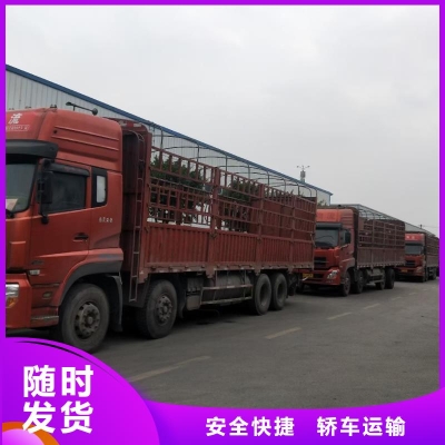 赤峰到白城貨運專線電話號碼-第1張圖片